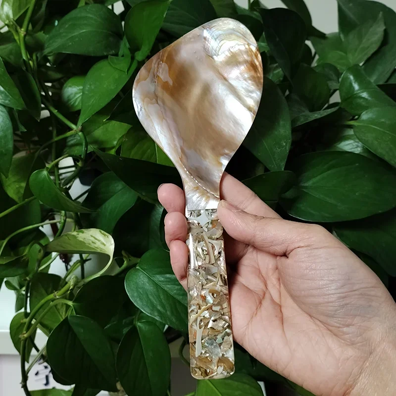 Home Cooking Meals - Natural Mother of Pearl Rice Spoon