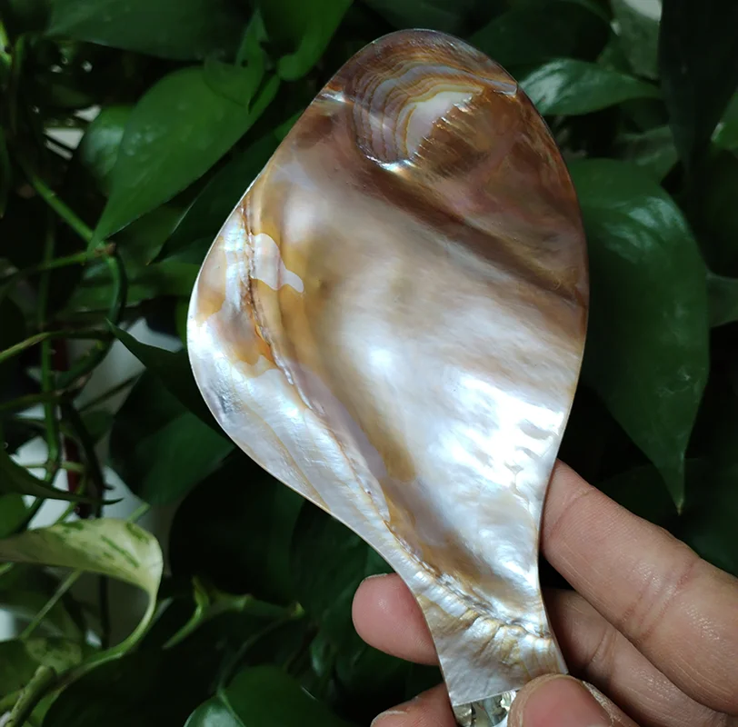 Natural Mother of Pearl Rice S - Home Cooking Meals 评论和价格