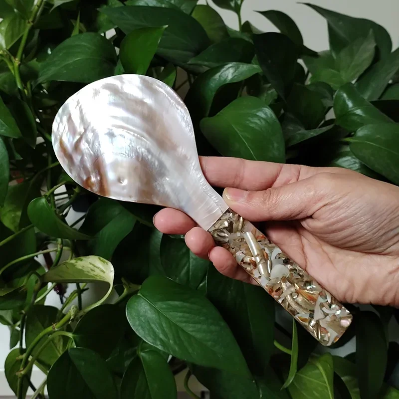 Natural Mother of Pearl Rice S - Home Cooking Meals 评论和价格