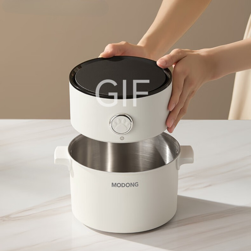 2L Dual Voltage 110V 220V Elec - Hot Pot Portable Dual 评论和价格