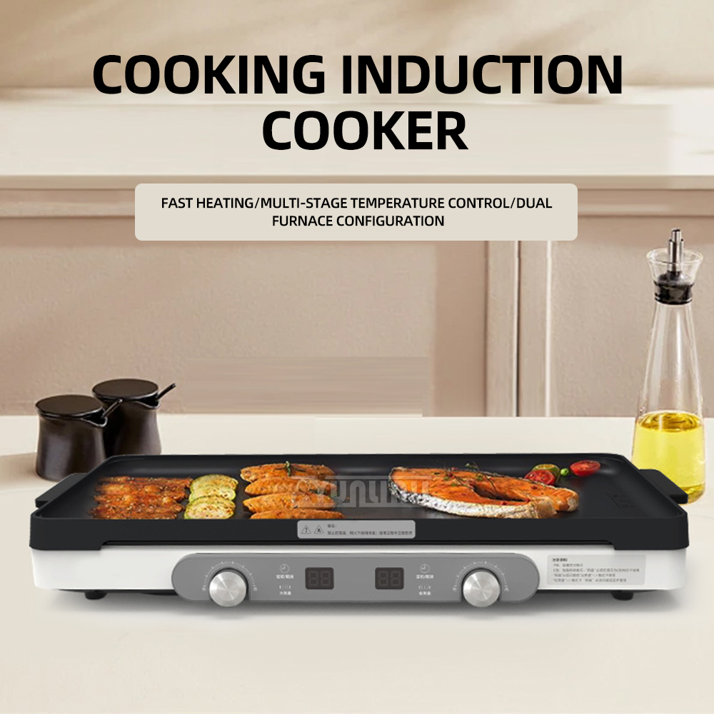 Double Induction Cooker Kitche - Hot Pot Portable Dual 评论和价格